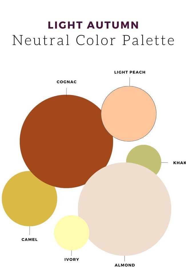 Light Autumn Neutral Color Palette